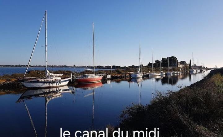 Le Corinthe - Appt Classe 3 Etoiles Et Climatise Marseillan  Bagian luar foto